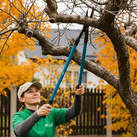 Tree Pruning & Trimming Lynchburg, VA